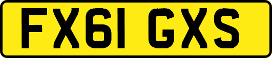 FX61GXS