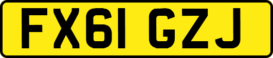 FX61GZJ