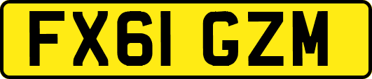 FX61GZM