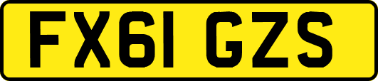FX61GZS