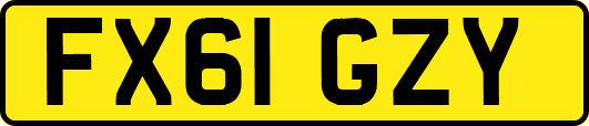 FX61GZY