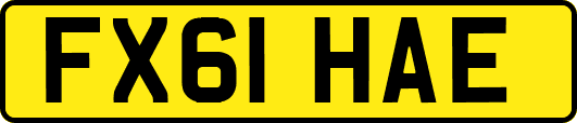 FX61HAE