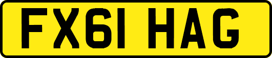 FX61HAG