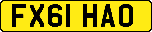 FX61HAO