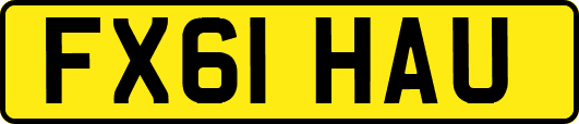 FX61HAU