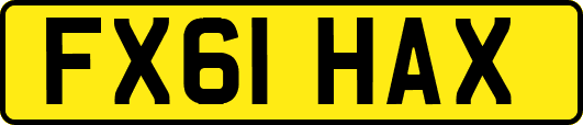 FX61HAX