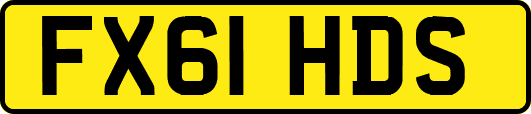 FX61HDS