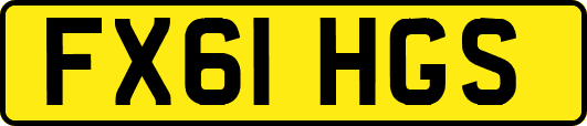 FX61HGS