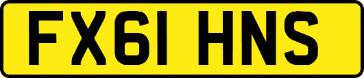 FX61HNS