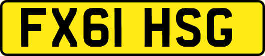 FX61HSG