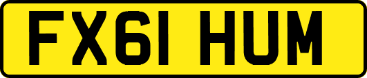 FX61HUM