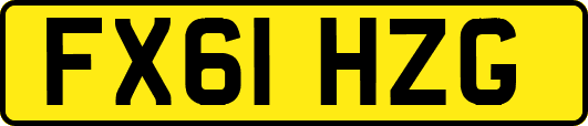 FX61HZG