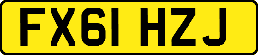 FX61HZJ