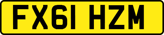 FX61HZM