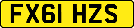 FX61HZS