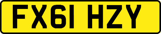 FX61HZY