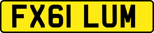 FX61LUM