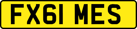 FX61MES