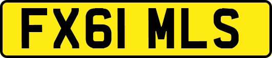 FX61MLS
