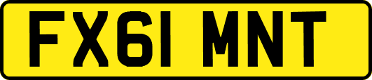FX61MNT