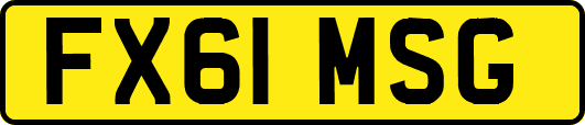 FX61MSG