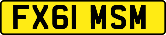 FX61MSM
