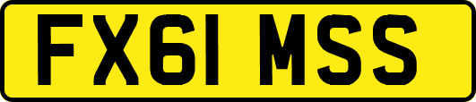 FX61MSS
