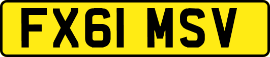 FX61MSV