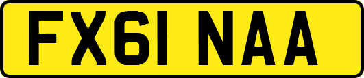 FX61NAA