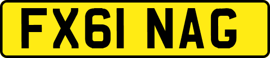 FX61NAG