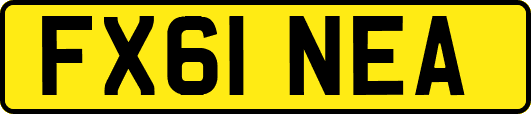 FX61NEA