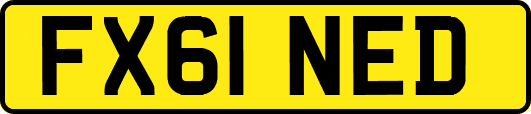 FX61NED