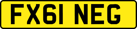 FX61NEG