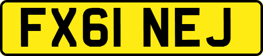 FX61NEJ