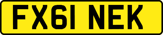 FX61NEK