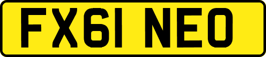 FX61NEO
