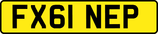 FX61NEP