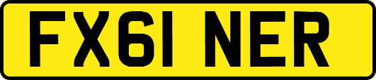 FX61NER