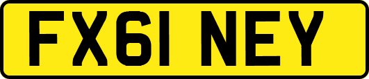 FX61NEY