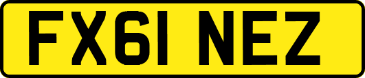 FX61NEZ