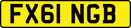 FX61NGB