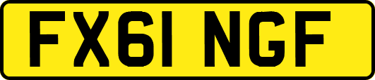 FX61NGF