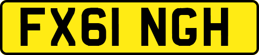 FX61NGH
