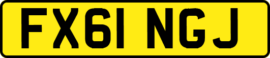 FX61NGJ