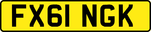 FX61NGK