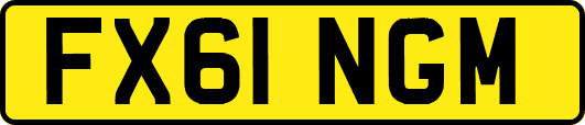 FX61NGM