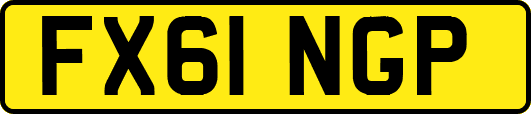 FX61NGP