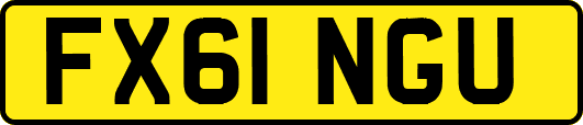 FX61NGU