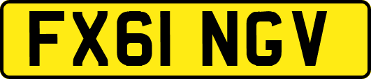 FX61NGV