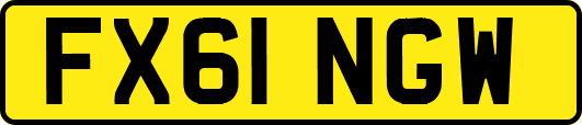 FX61NGW